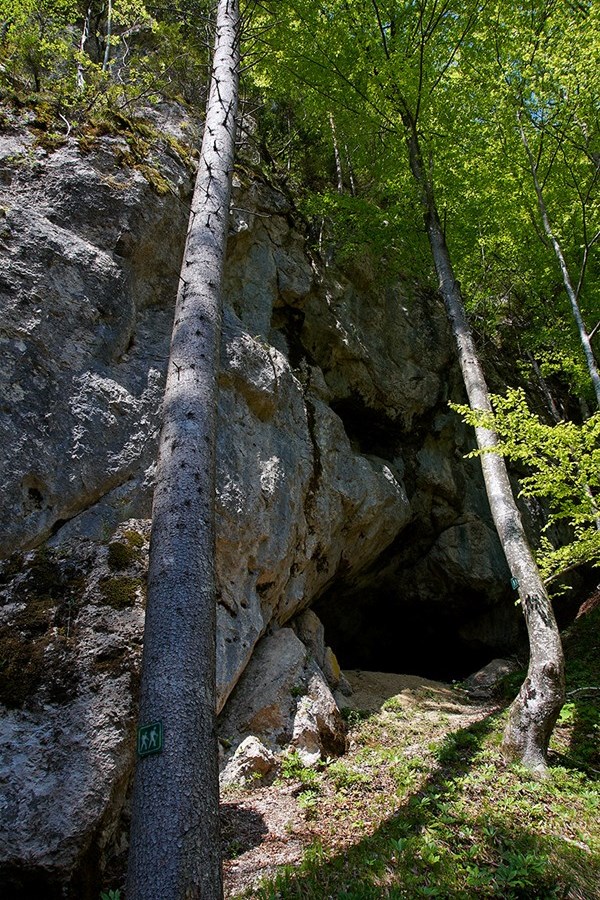 Höhle Trbiška zijalka - foto TIC Luče-Matevž Lenarčič