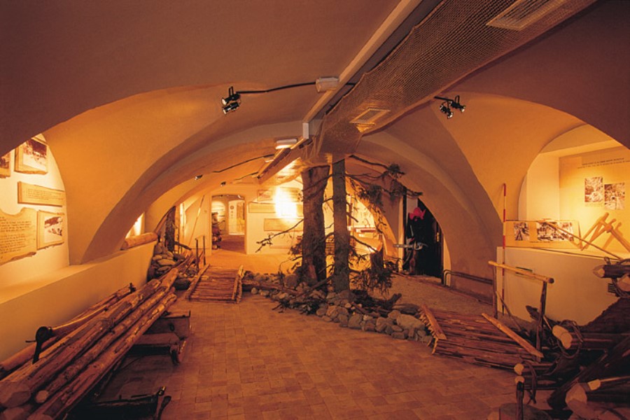 Muzej gozdarstva in lesarstva v gradu Vrbovec